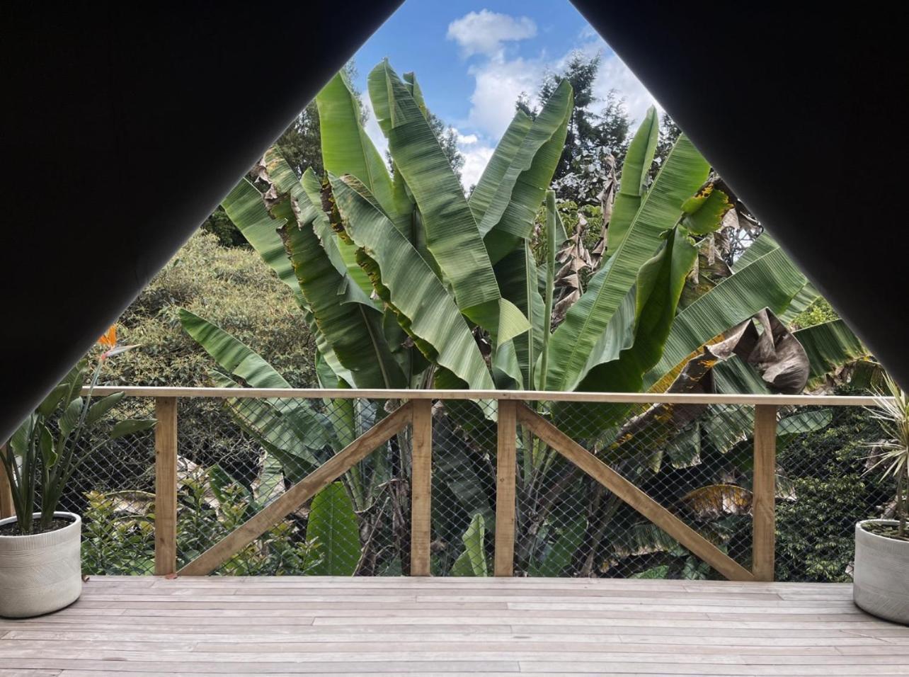 Teva Glamping & Retreat Hotel Rionegro Bilik gambar