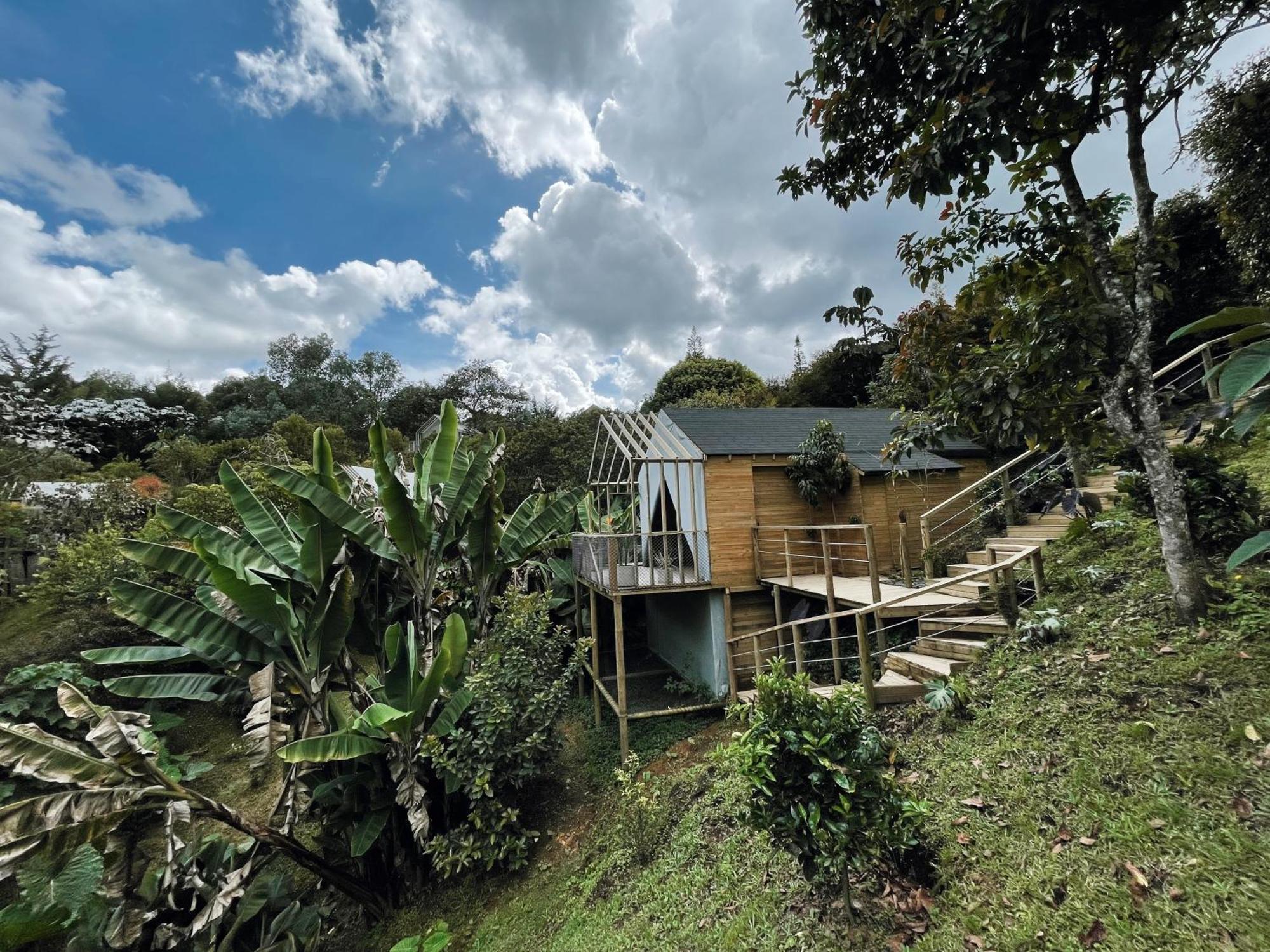 Teva Glamping & Retreat Hotel Rionegro Bilik gambar