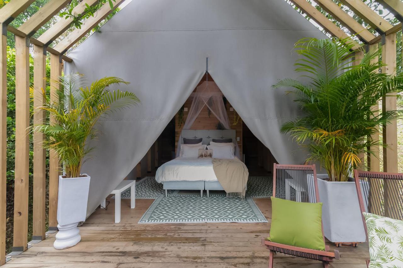 Teva Glamping & Retreat Hotel Rionegro Bilik gambar